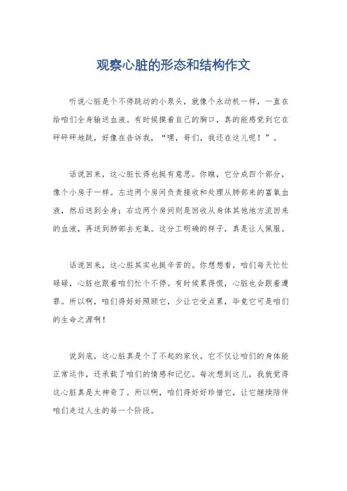 观察心脏的形态和结构作文
