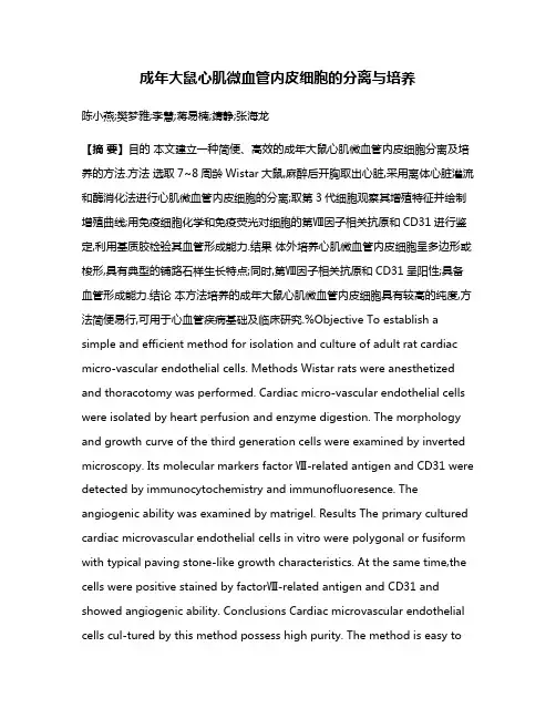 成年大鼠心肌微血管内皮细胞的分离与培养