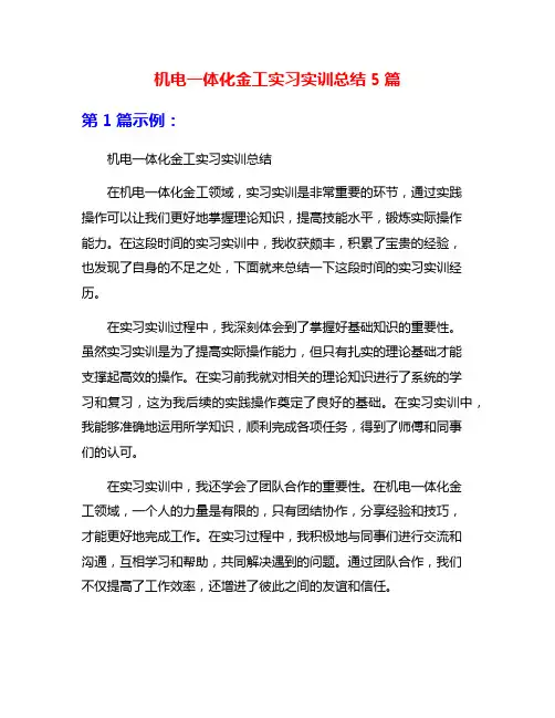 机电一体化金工实习实训总结5篇