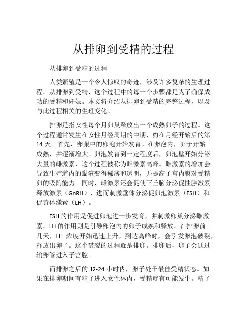 从排卵到受精的过程