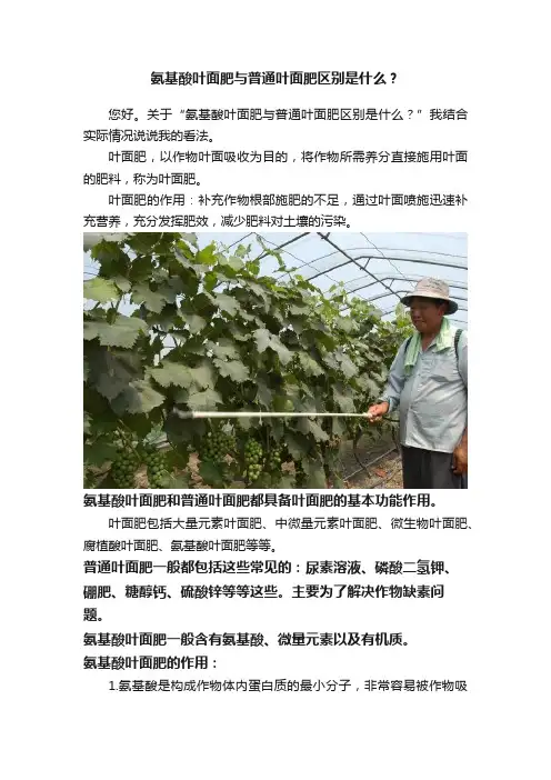 氨基酸叶面肥与普通叶面肥区别是什么？