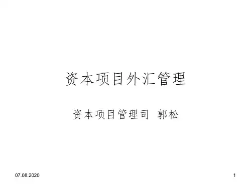 资本项目外汇管理讲义参考PPT