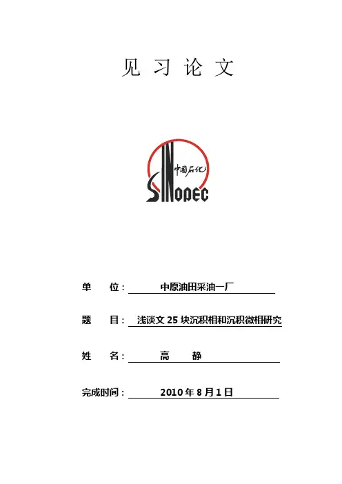 沉积相和沉积微相研究