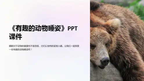 《有趣的动物睡姿》课件