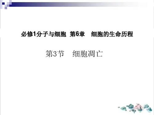 人教版生物必修一.《细胞的癌变》PPT教学课件.