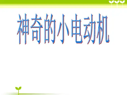 六年级上册科学神奇的小电动机ppt课件