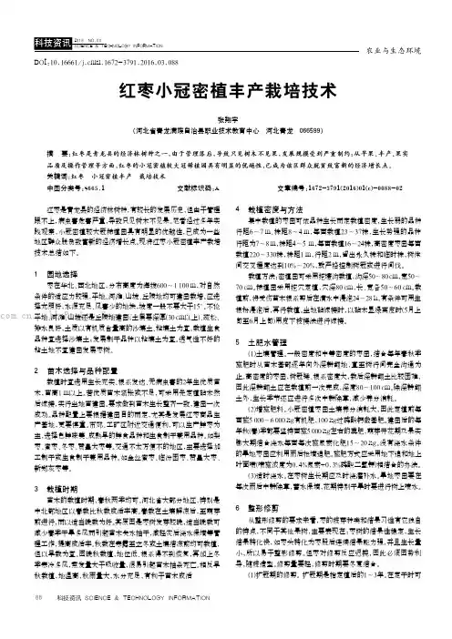 红枣小冠密植丰产栽培技术