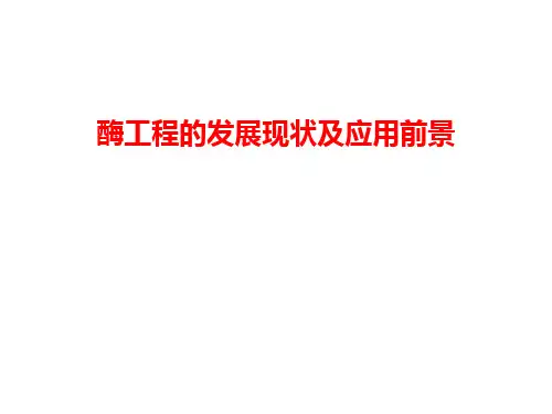 酶工程的发展现状及应用前景