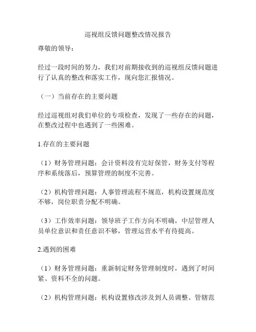 巡视组反馈问题整改情况报告