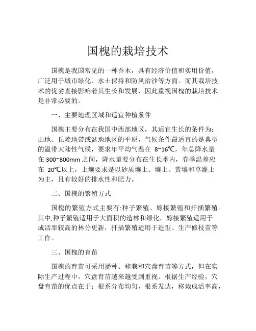 国槐的栽培技术