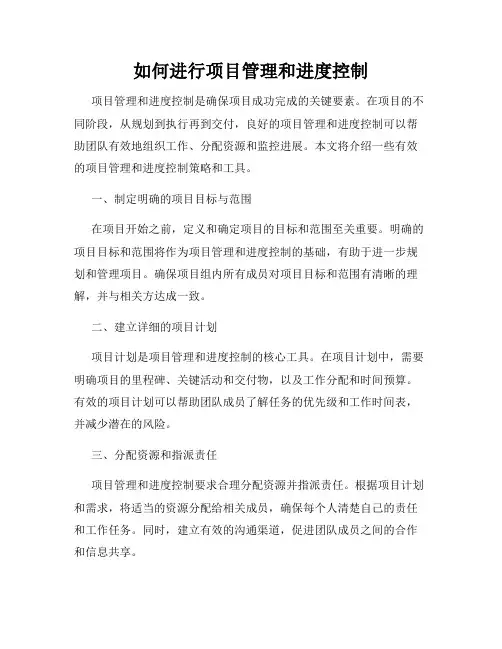 如何进行项目管理和进度控制