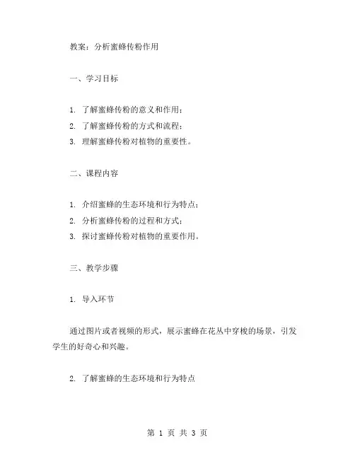 分析蜜蜂传粉作用的教案