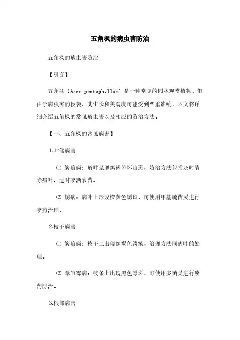 五角枫的病虫害防治(2023最新版)