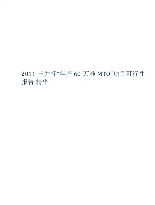 年产60万吨MTO”项目可行性报告 精华