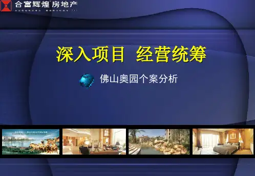 房地产策划案例：奥园
