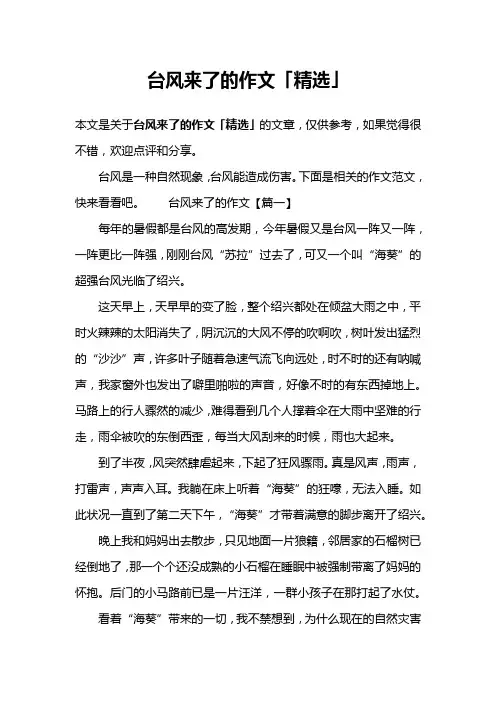 台风来了的作文「精选」