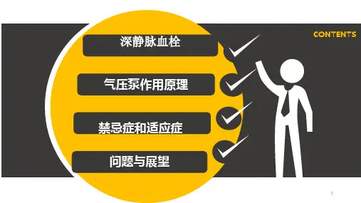 动静脉脉冲气压泵对深静脉血栓的预防PPT课件