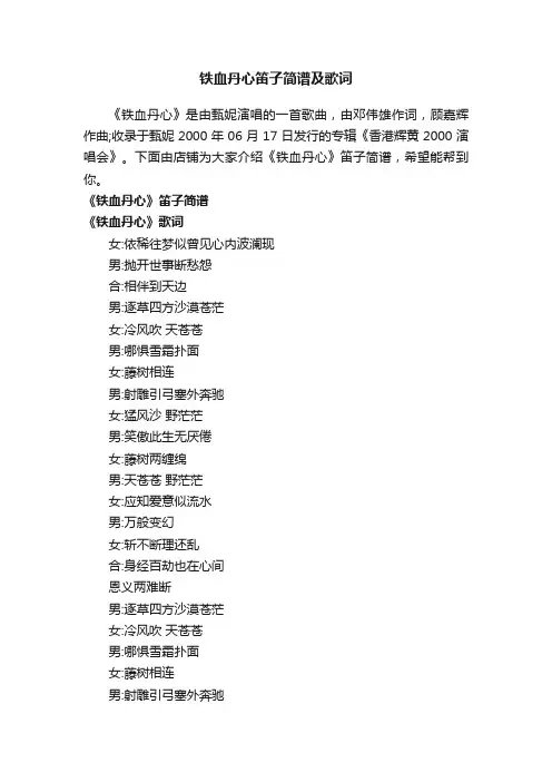 铁血丹心笛子简谱及歌词