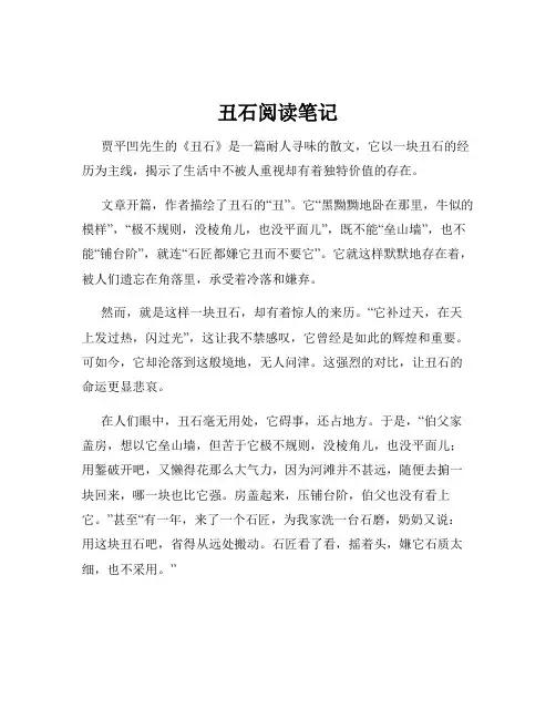丑石阅读笔记