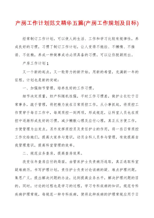 产房工作计划范文精华五篇