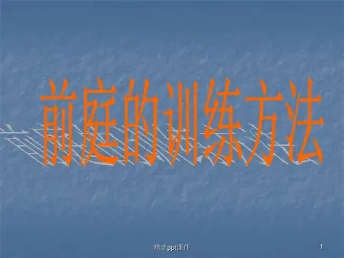 前庭的训练方法ppt课件