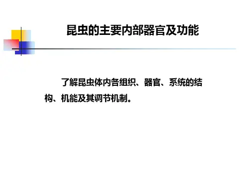 二_昆虫的内部器官