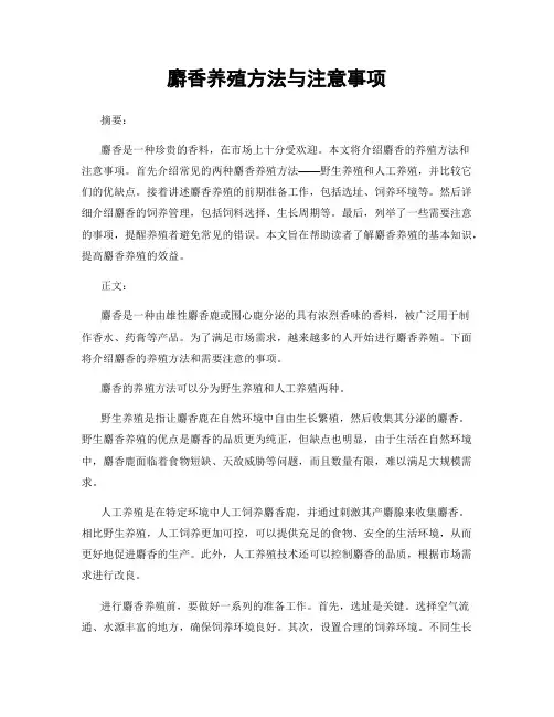 麝香养殖方法与注意事项