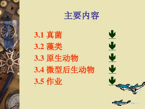 ppt 哈尔滨工业大学 污染控制微生物学3.2