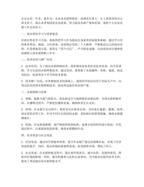 个人农业水稻工作总结