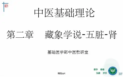 藏象五脏肾—中医基础理论教学完整ppt课件