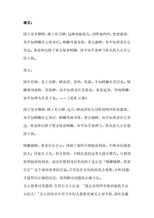 螳螂捕蝉黄雀在后文言文翻译