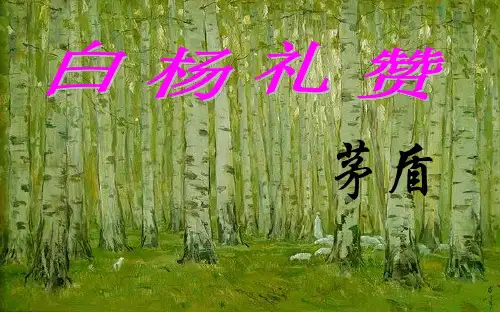 语文版九年级语文上册课件：第一单元第1课《白杨礼赞》