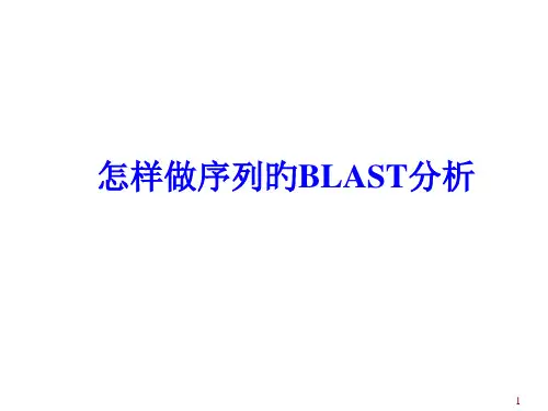 如何做序列的blast分析