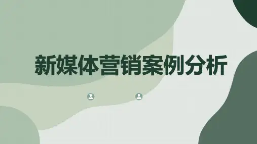 新媒体营销案例分析