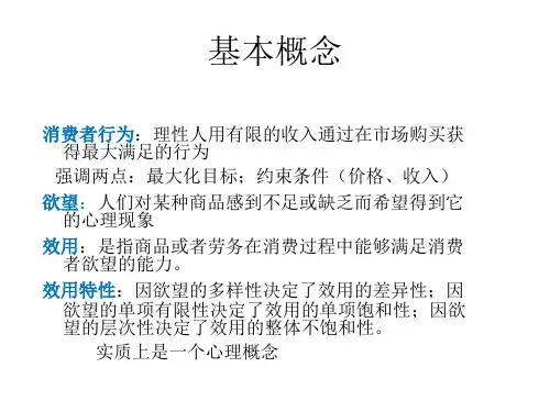 消费者行为理论ppt课件