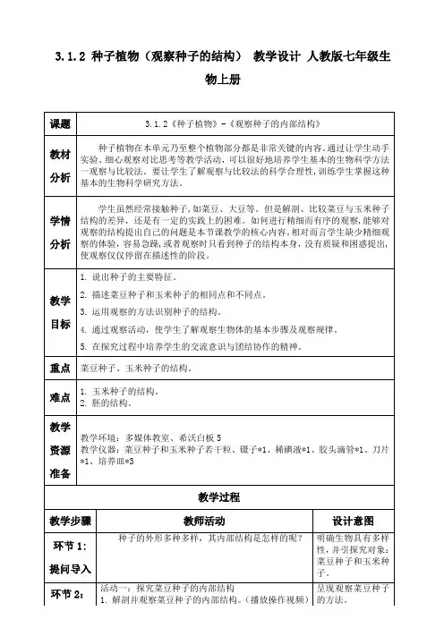 3.1.2 种子植物(观察种子的结构) 教学设计 人教版七年级生物上册