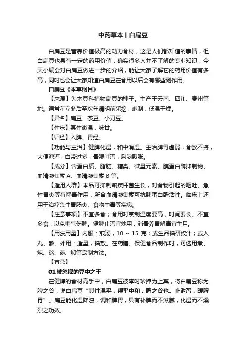 中药草本丨白扁豆