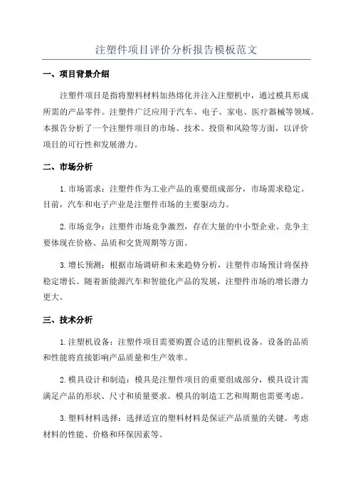注塑件项目评价分析报告模板范文