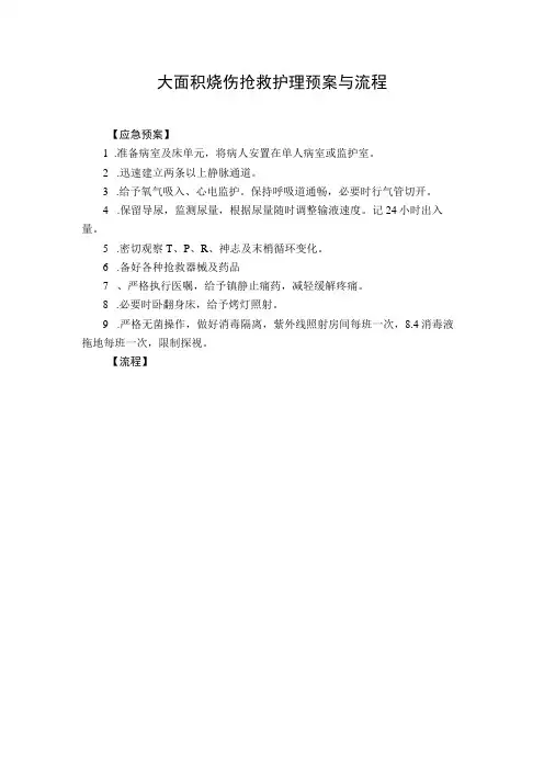 大面积烧伤抢救护理预案与流程