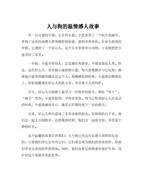 人与狗的温情感人故事