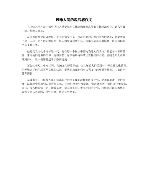 风味人间的观后感作文