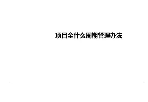 信息化项目建设-全生命周期管理办法