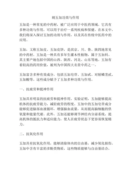 刺五加功效与作用