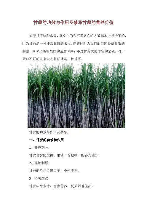 甘蔗的功效与作用及禁忌 甘蔗的营养价值