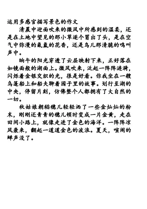 运用多感官描写景色的作文