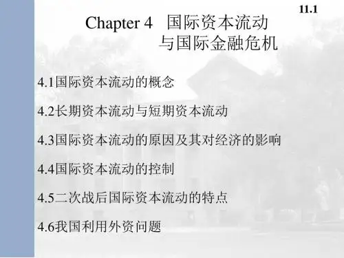 国际资本流动与国际金融危机(ppt 58页)