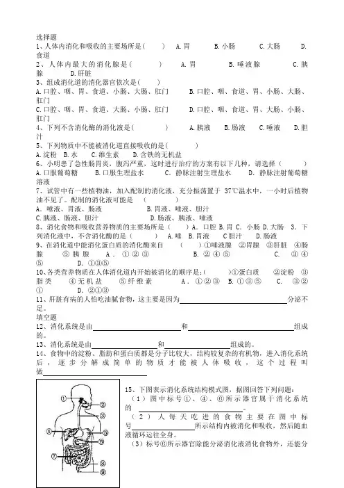 初中生物 消化和吸收 18道题