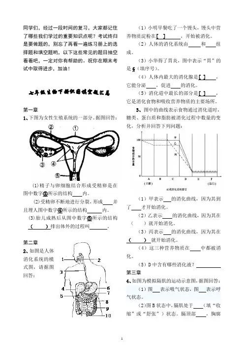 七下生物下册识图简答题及答案