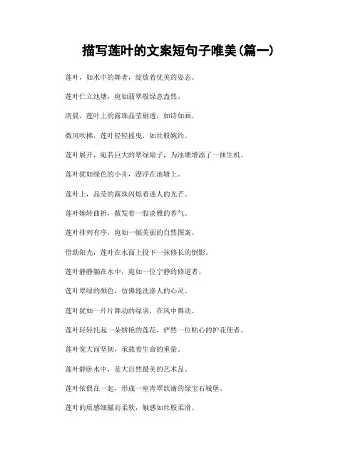 描写莲叶的文案短句子唯美(精选2篇)