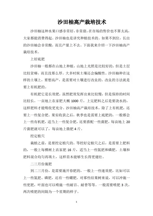 沙田柚高产栽培技术
